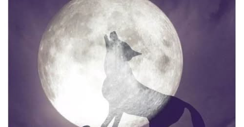 সুপার ব্লাড উল্ফ মুন দেখুন আজ! সুপার ব্লাড উল্ফ মুন কী?